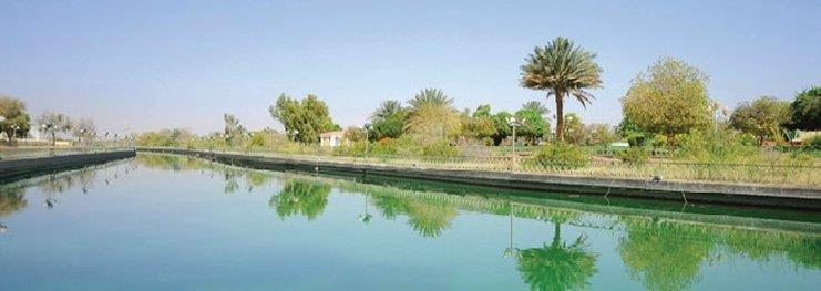 One To One Hotel & Resort Ain Al Faida Al Ain Bagian luar foto